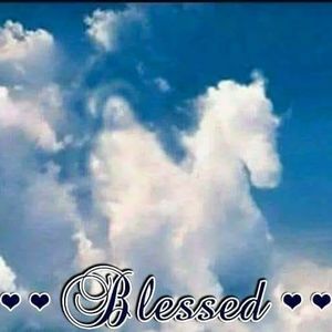 Meet your Posher, Douglas